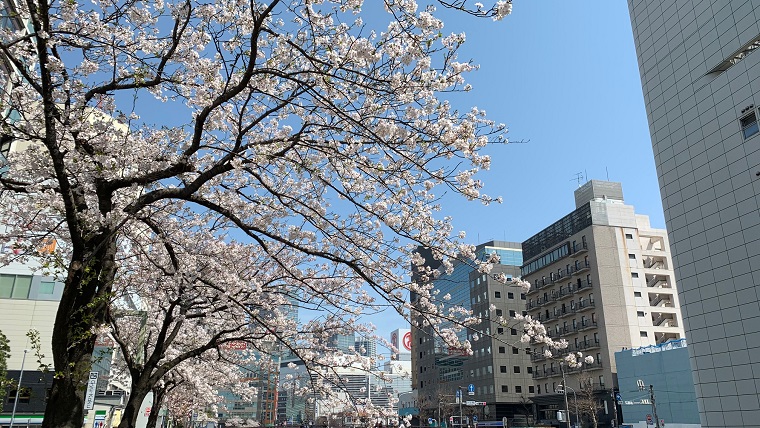 横浜高島屋